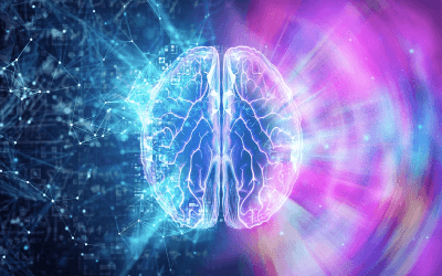 NC-大脑启发的全局-局部学习与神经形态计算相结合 NC-大脑启发的全局-局部学习与神经形态计算相结合