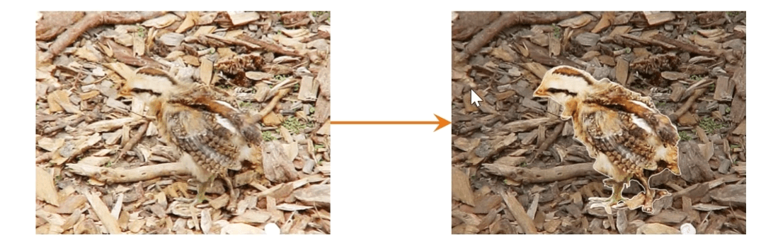 20230626 | 上周学习总结 20230626 | 上周学习总结